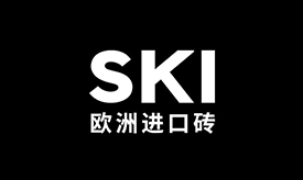 SKI欧洲进口砖